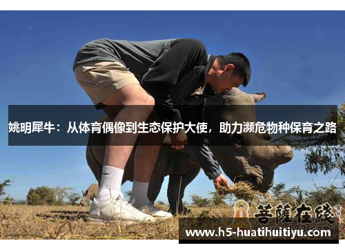 姚明犀牛：从体育偶像到生态保护大使，助力濒危物种保育之路